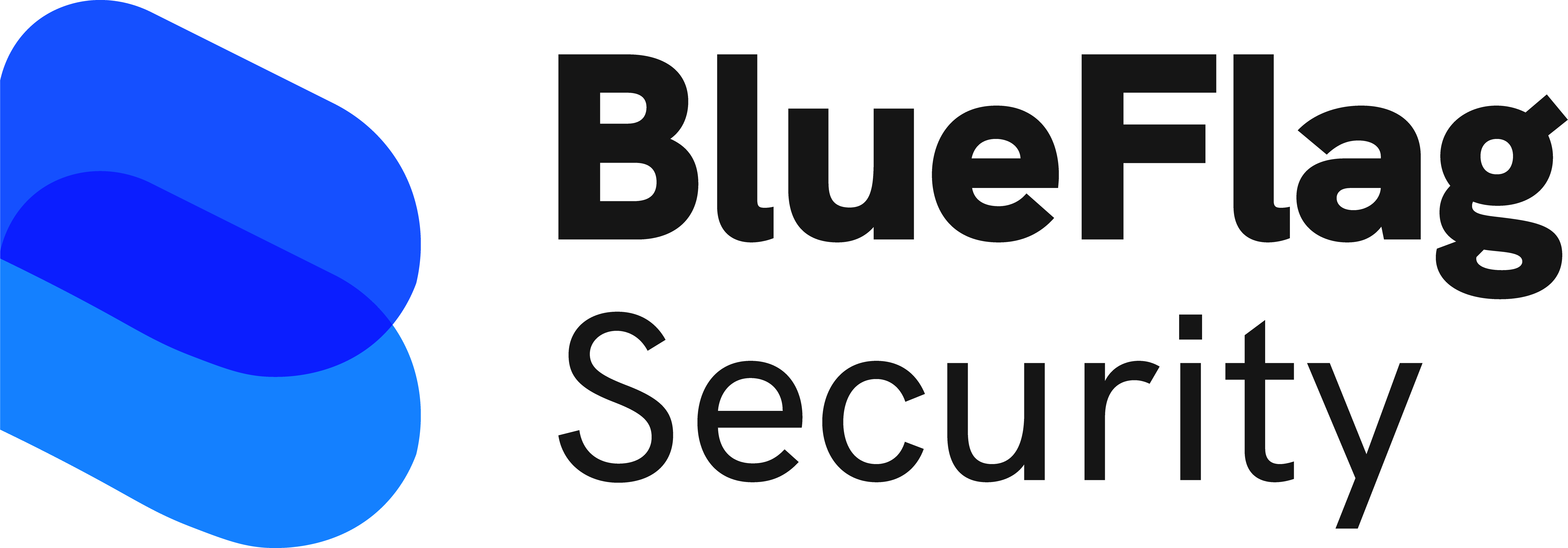 Gold sponsor BlueFlag Security